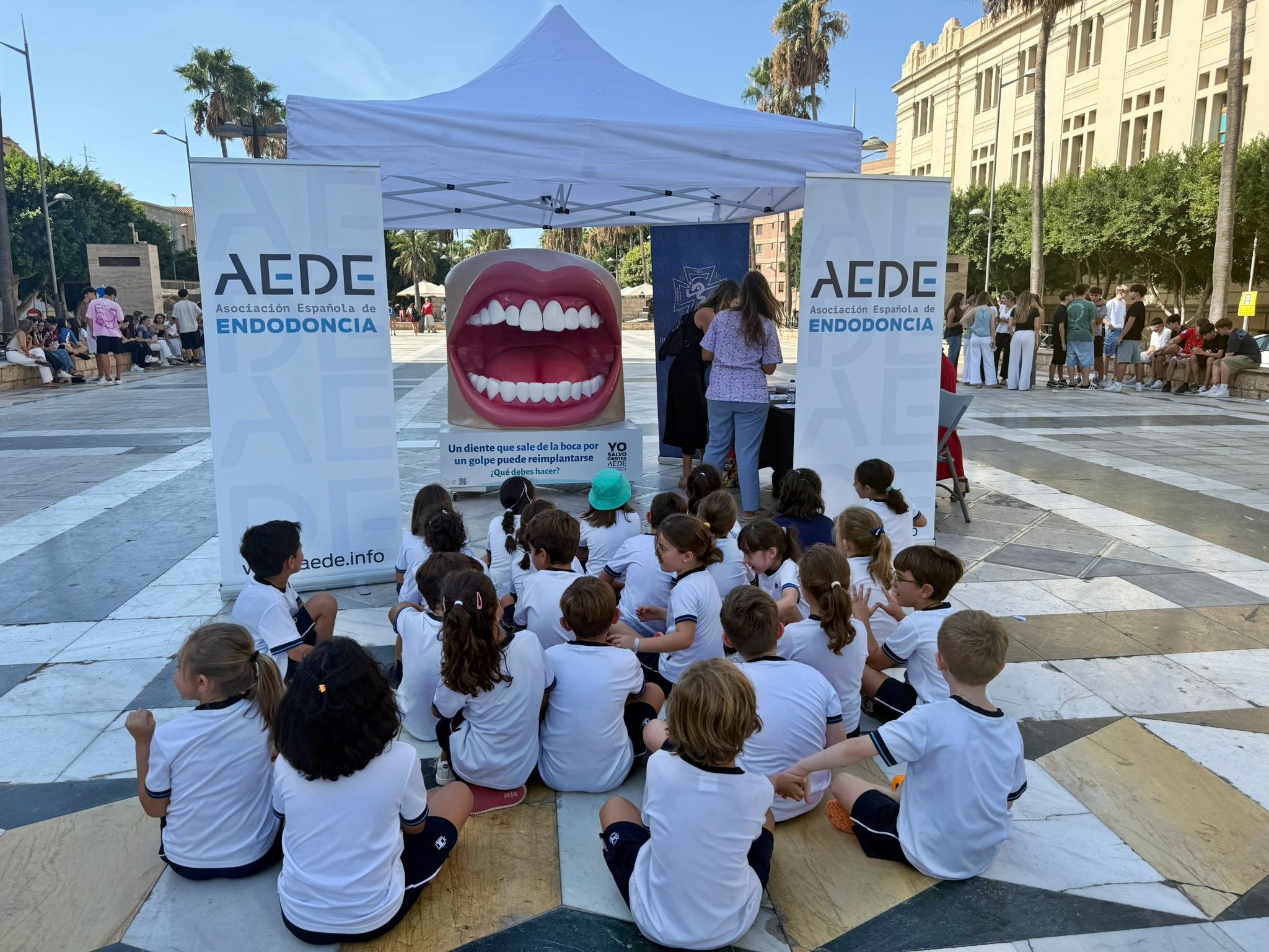 escolares-aede-almeria