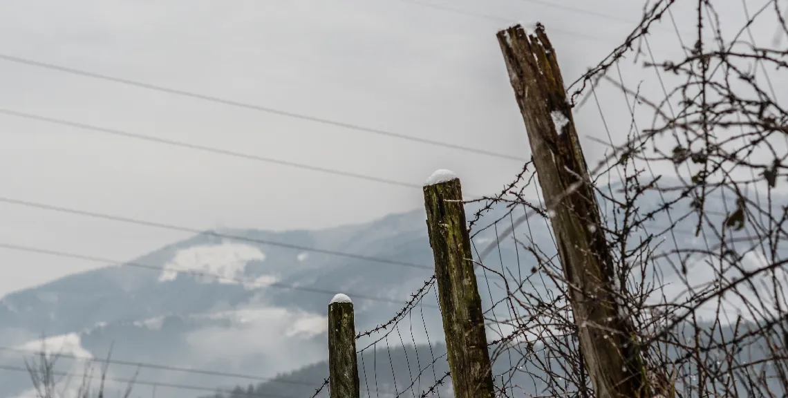 papel-odontologos-regimen-nazi