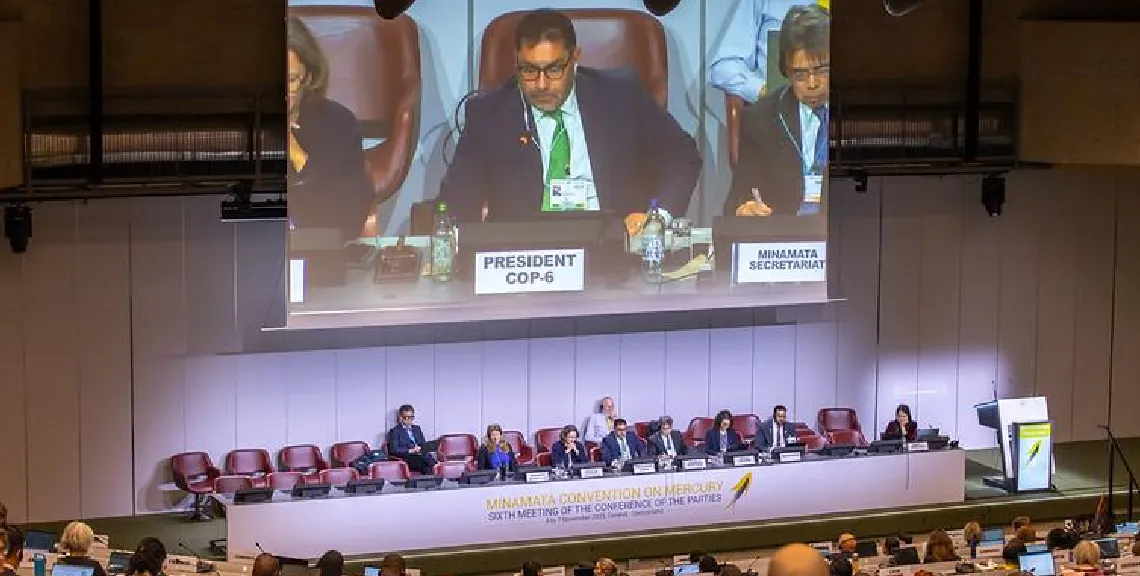 Uno de los momentos de la convención de Minamata