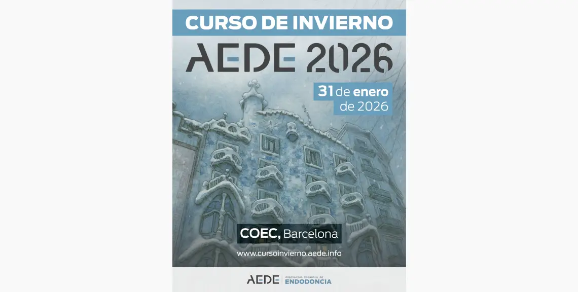 Curso de Invierno de AEDE en enero de 2026