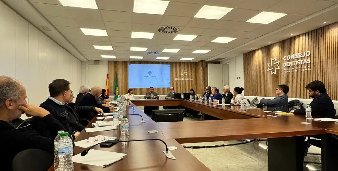 Un momento de la reunión de la Comisión Ética del Consejo General de Dentistas