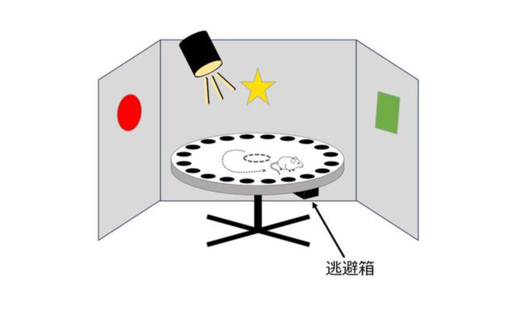 estudio falta de dientes y repercusión en memoria