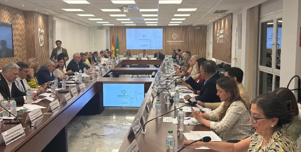 Votaciones Asamblea Ordinaria Consejo General Dentistas