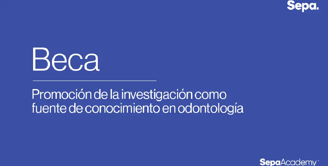 Becas SEPA