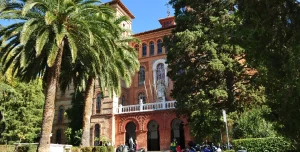 Universidad de Granada.